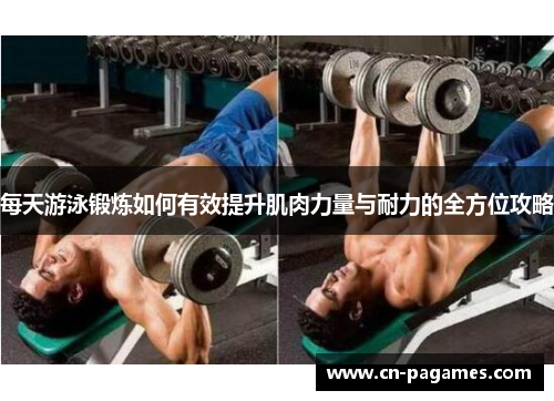 每天游泳锻炼如何有效提升肌肉力量与耐力的全方位攻略