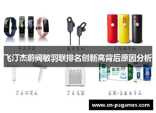 飞汀杰蔚阀敏羽联排名创新高背后原因分析