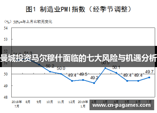 曼城投资马尔穆什面临的七大风险与机遇分析