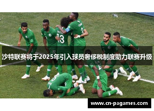 沙特联赛将于2025年引入球员奢侈税制度助力联赛升级 沙特联赛将于2025年引入球员奢侈税制度助力联赛升级