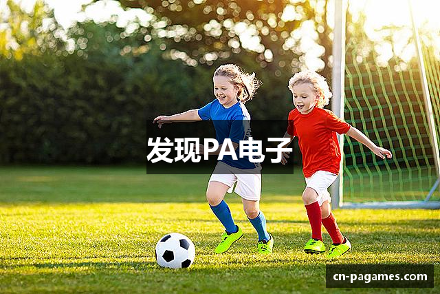 发现PA电子